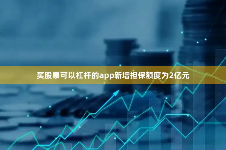 买股票可以杠杆的app新增担保额度为2亿元