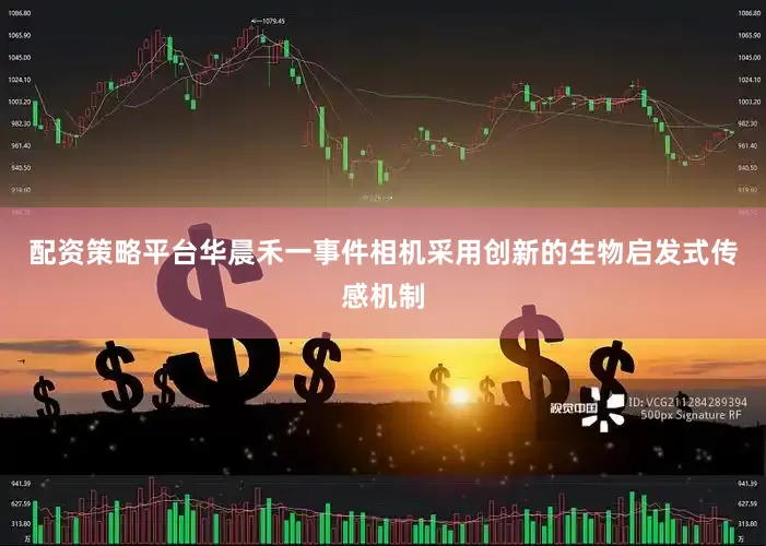 配资策略平台华晨禾一事件相机采用创新的生物启发式传感机制