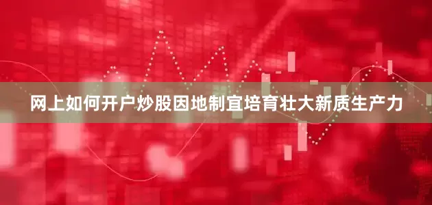 网上如何开户炒股因地制宜培育壮大新质生产力