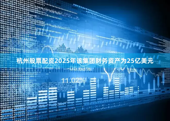 杭州股票配资2025年该集团财务资产为25亿美元